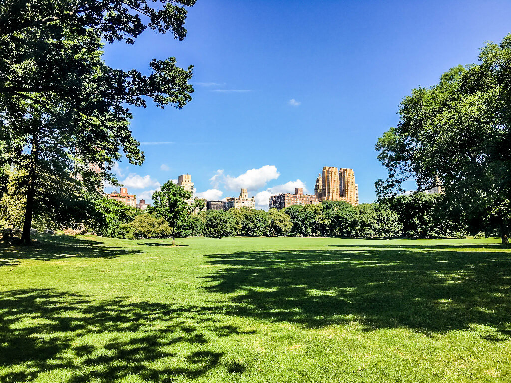 How To Spend A Day In Central Park | The Restless Worker