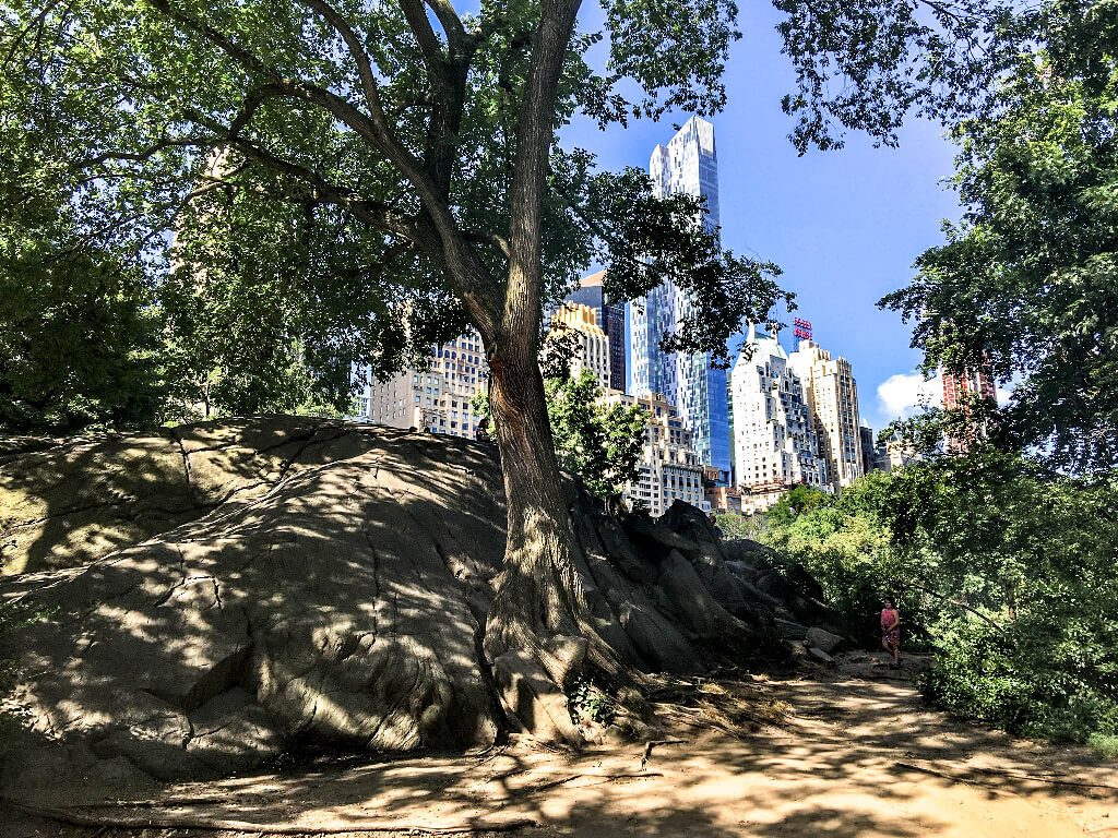 day in central park