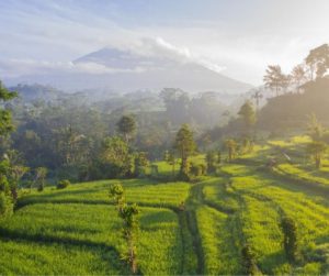 How to spend 2 weeks in Bali: itinerary and guide | The Restless Worker