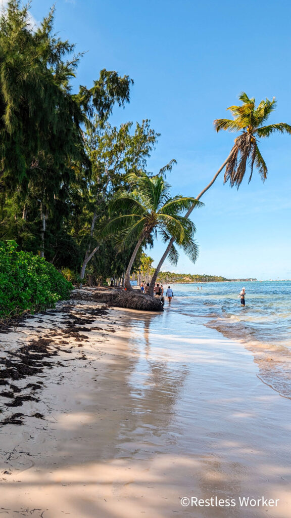 Tropical beach dominican republic