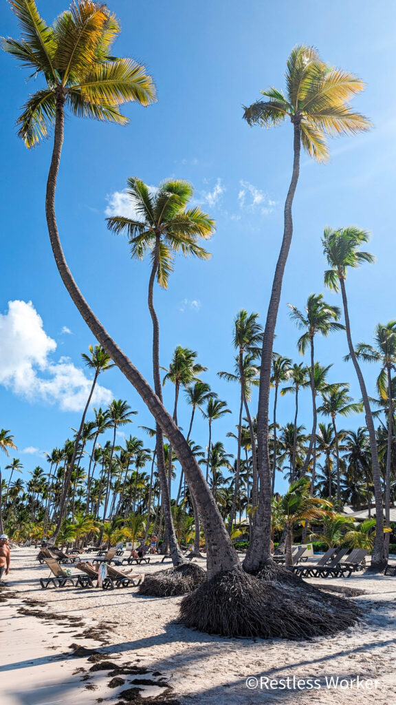 Punta Cana Dominican Republic